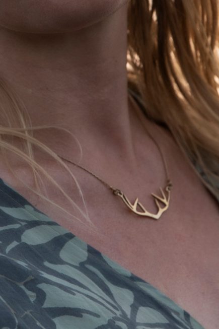 Halsband renhorn